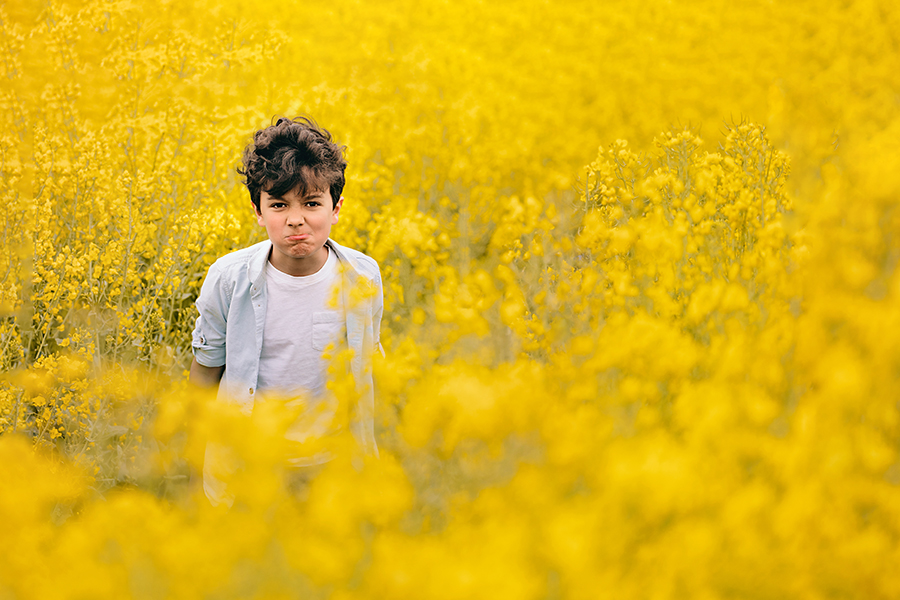 Helen Rowan Photography Yellow Oil Seed Field Spring 2